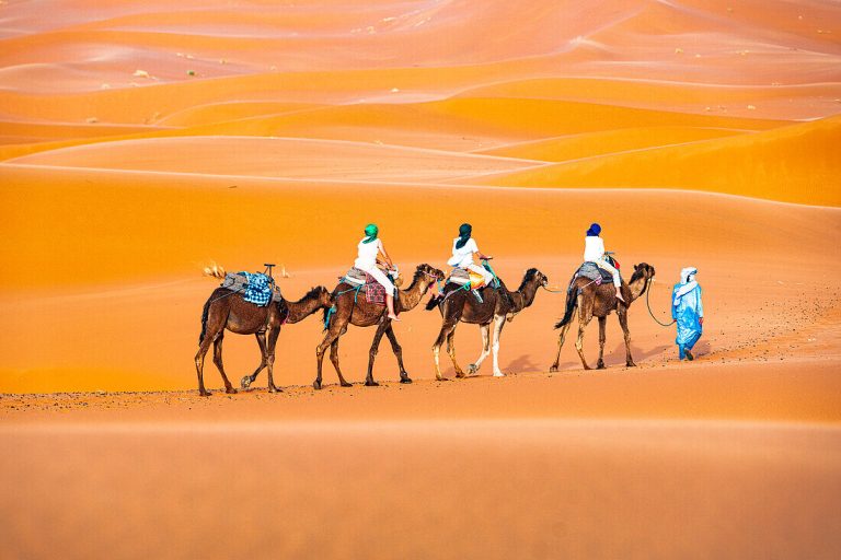 Tuareg man guiding a caravan of tourists with Morocco Tour Excursion across the sand dunes of Erg Chebbi in Merzouga, Sahara Desert, Morocco, North Africa