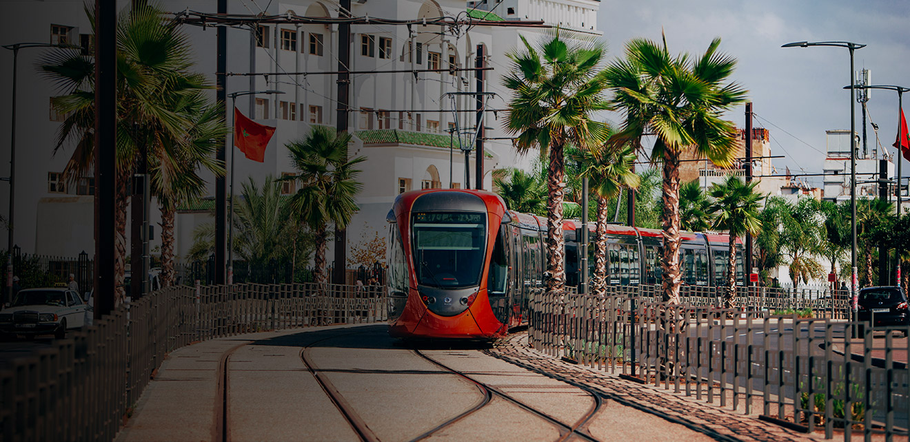Casablanca tram on a palm-lined boulevard