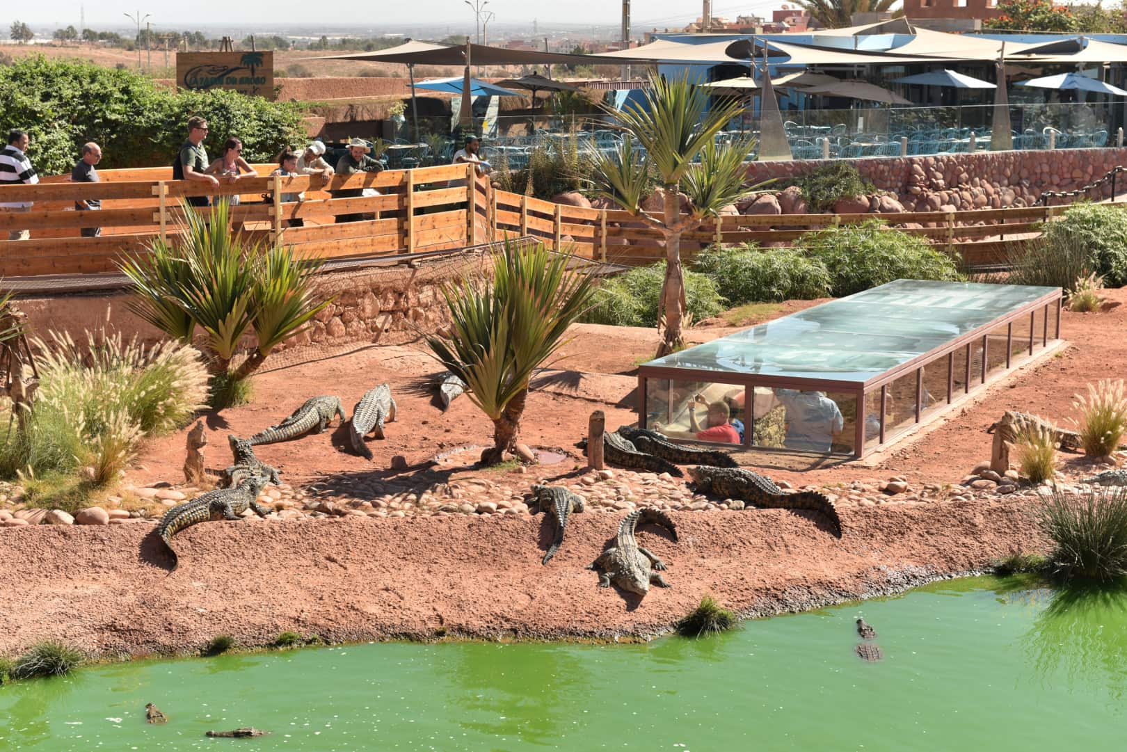 Trips from Agadir