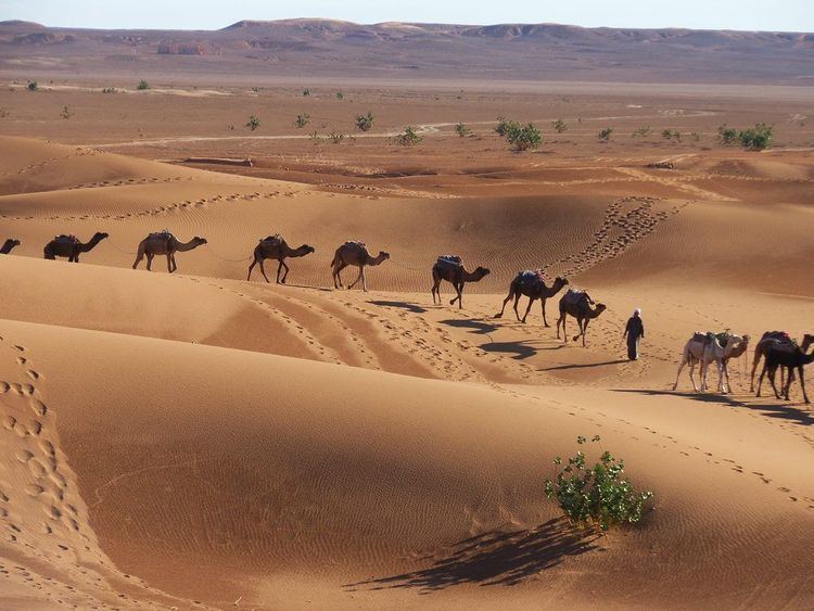 Marrakech to Erg Chegaga Desert Tour 3 Days | Ultimate Morocco Sahara Adventure