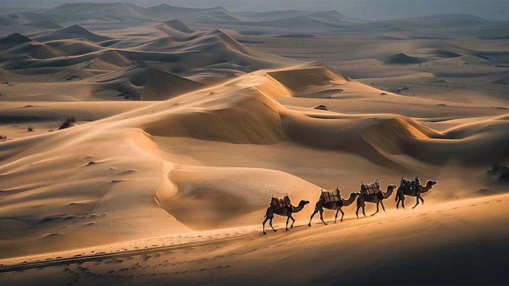 Camel caravan in the dunes on the 8 day tour from Marrakech