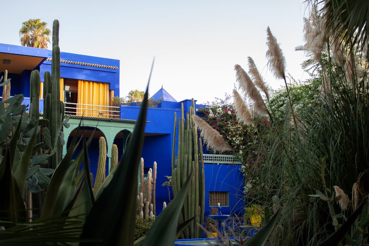Majorelle Garden – Marrakech’s Iconic Oasis of Art and Nature