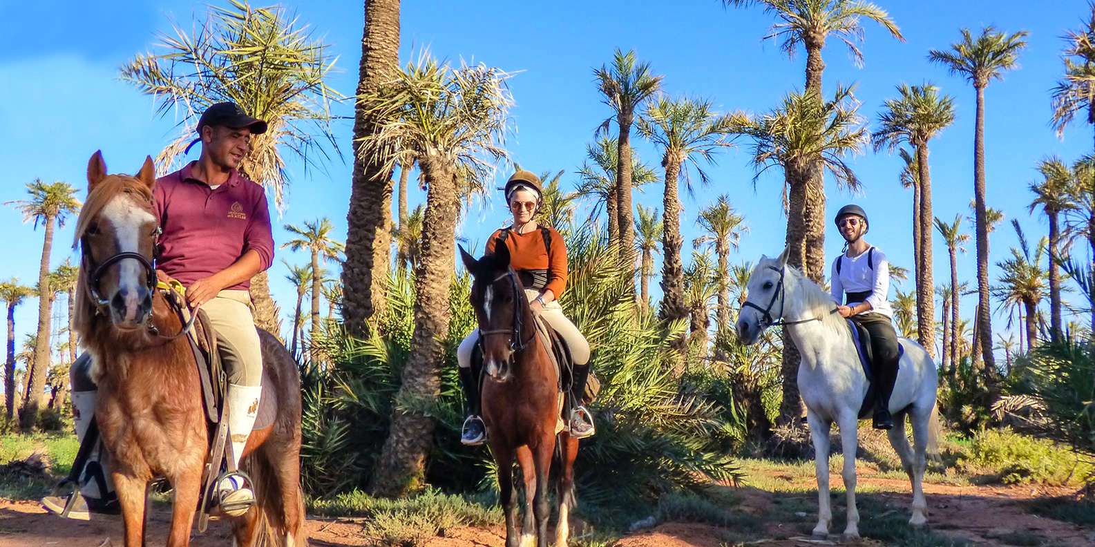 A group of horseback riders exploring the Palmeraie of Marrakech, Morocco