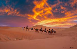 Morocco Private Tours
