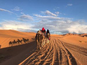 Morocco Private Tours