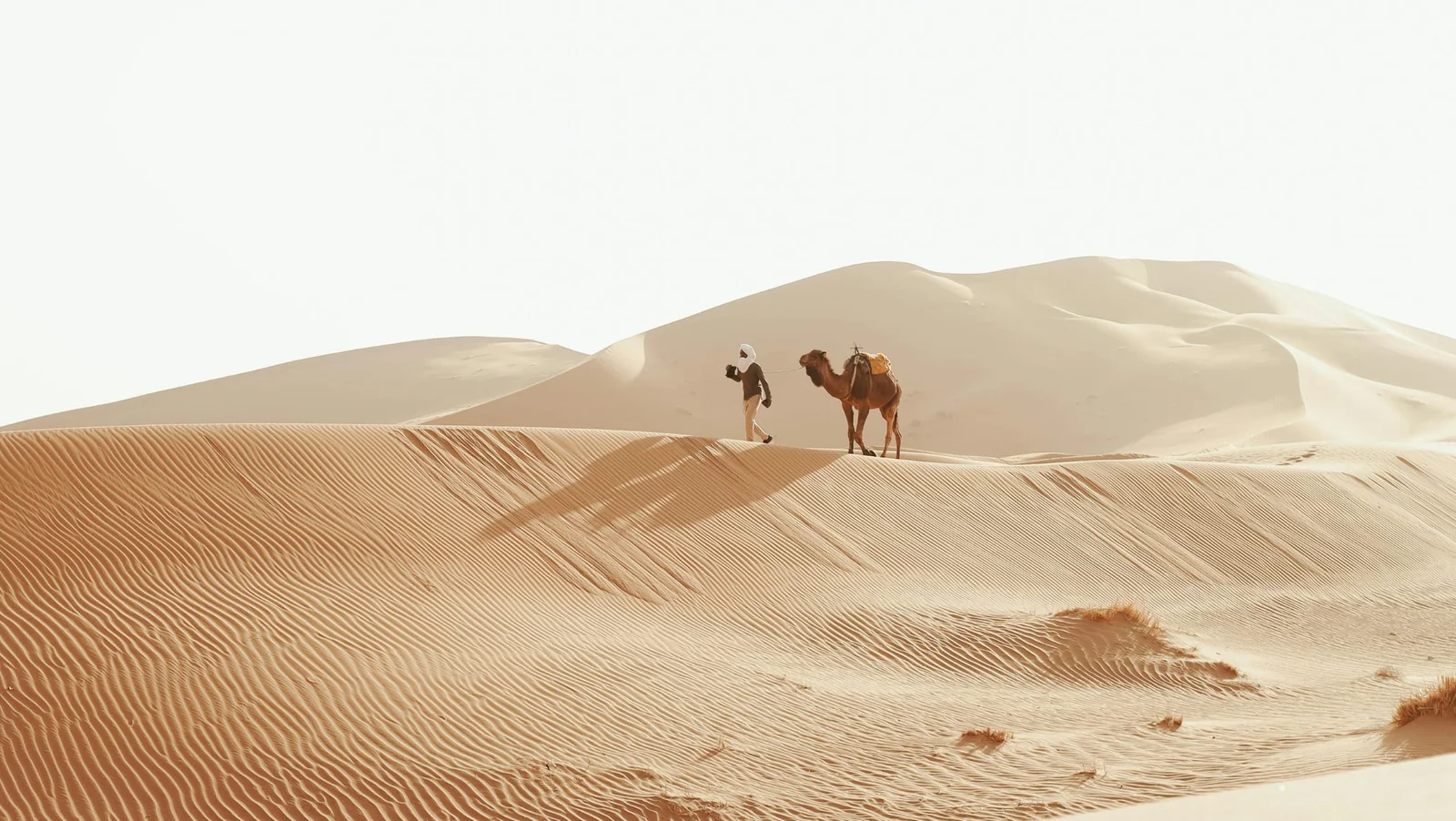 7 Days Morocco Itinerary ( One Week In Morocco Itinerary )