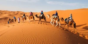 Morocco Private Tours
