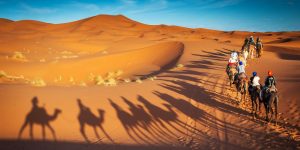 Authentic Camel Trekking in Morocco