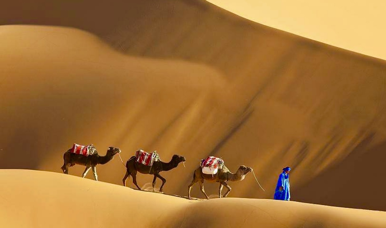 Authentic Camel Trekking in Morocco: 2026 Private Tours & Guides