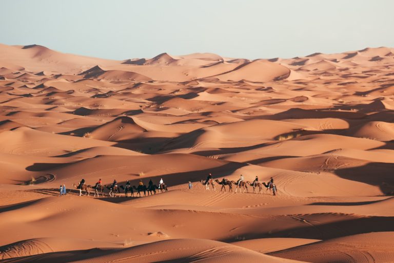Golden dunes of the Sahara