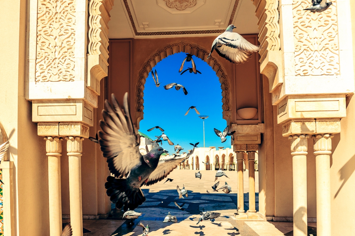 Casablanca travel guide