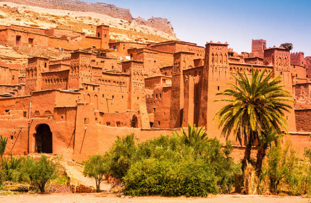 Discover Casablanca Tour