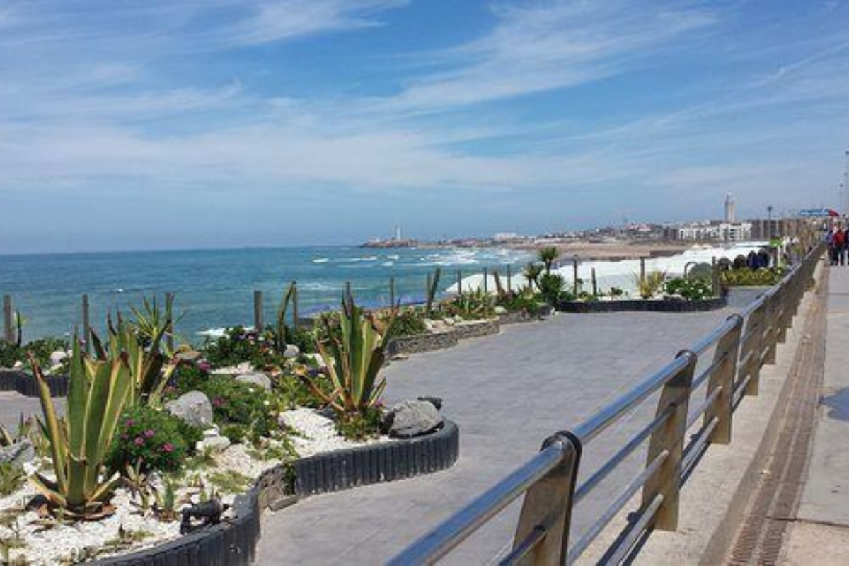 Top Things to Do in Casablanca