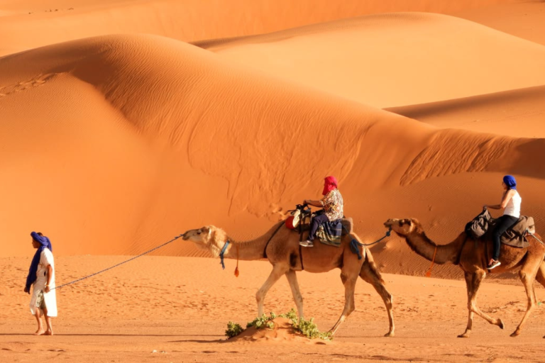 Private Wild Desert Camp Morocco: Exclusive Sahara Camping for Families & Groups