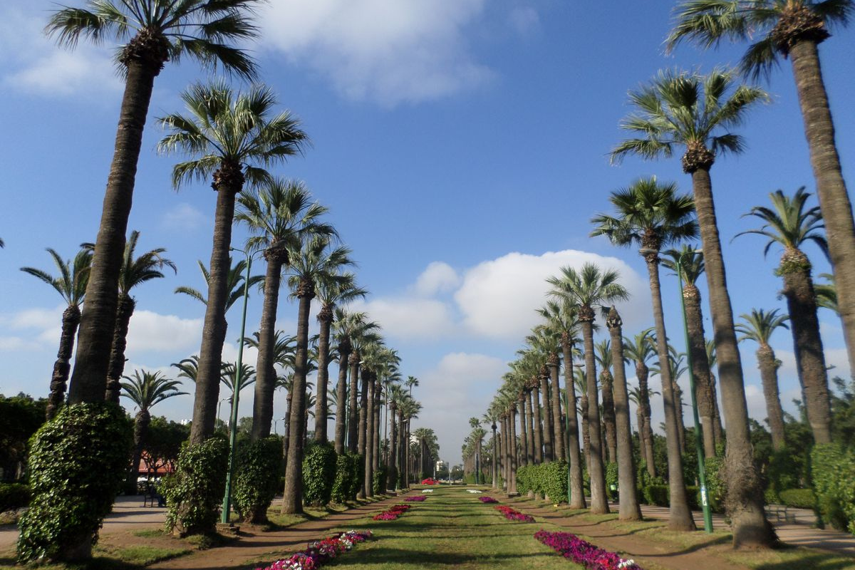 Casablanca Half Day City Tour