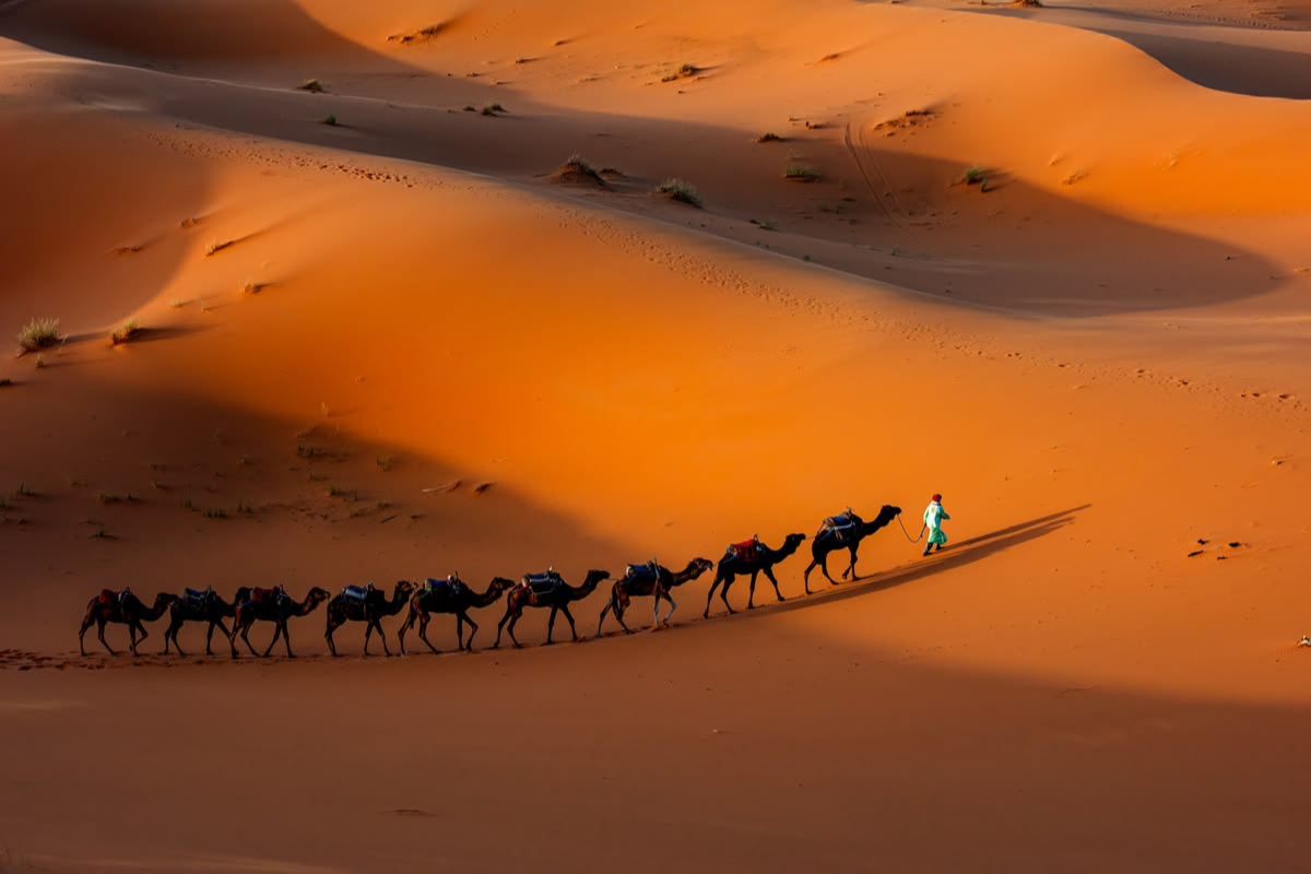 Casablanca to Marrakesh – 7 Days