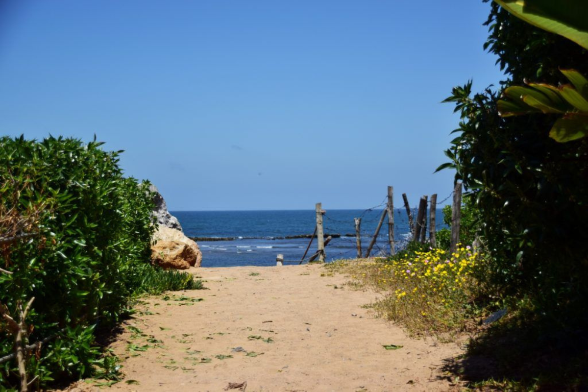 Top Things to Do in Casablanca
